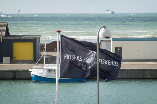 Hafen in Hirtshals in Dänemark