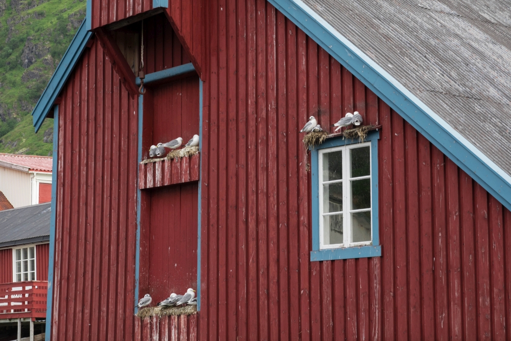 Fischerdorf Å auf den Lofoten in Norwegen