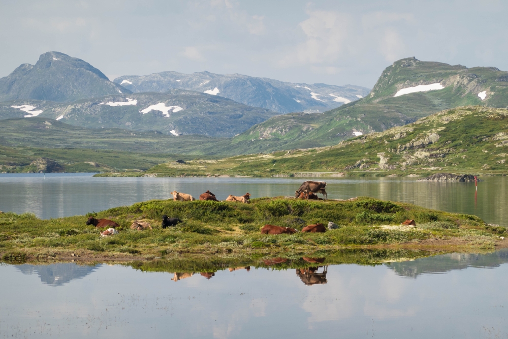 Bygdin-See im Østlandet in Norwegen