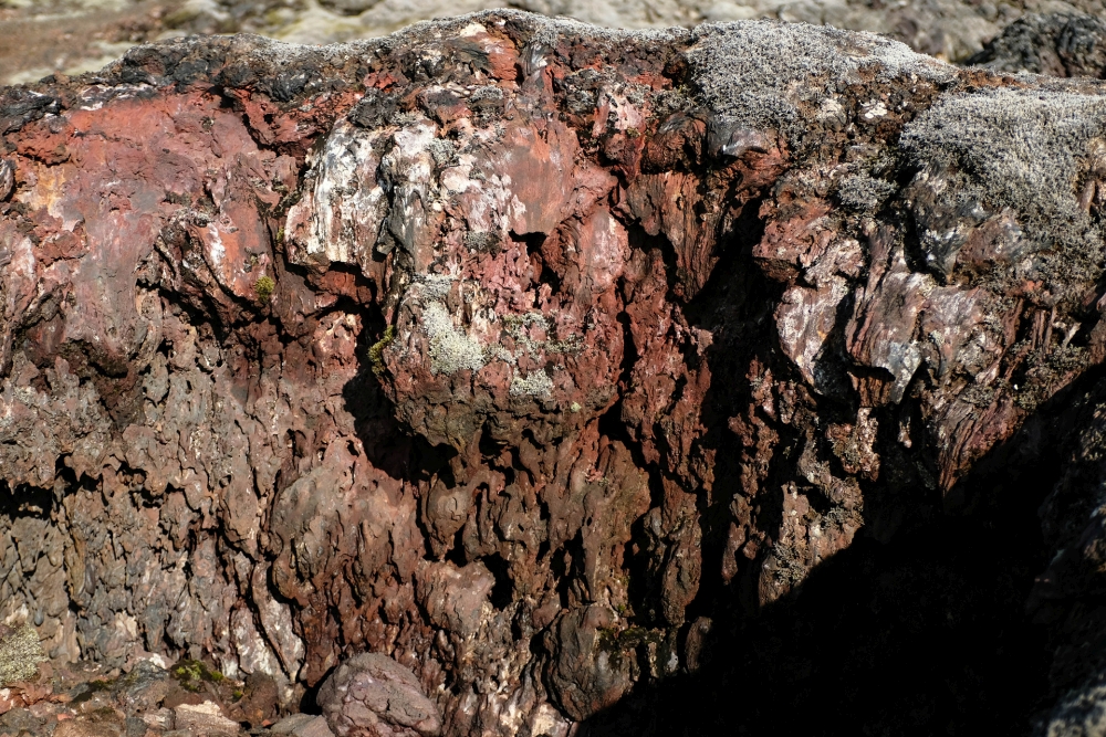 Erstarrte Magmaspritzer im Lavafeld am Leirhnjúkur im Krafla-Gebiet (Nordostisland)