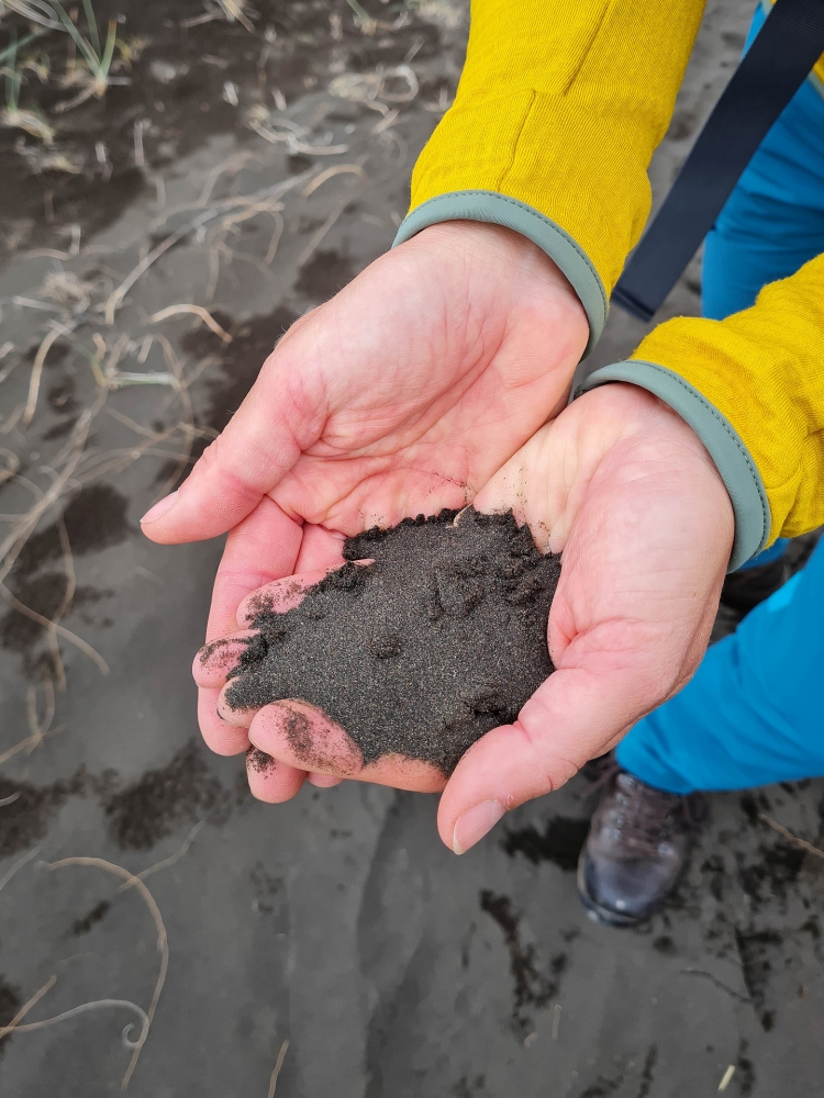 Schwarzer Sand im Sanddalur - auf unserer Trekkingtour entlang der Jökulsárgljúfur (Nordisland)
