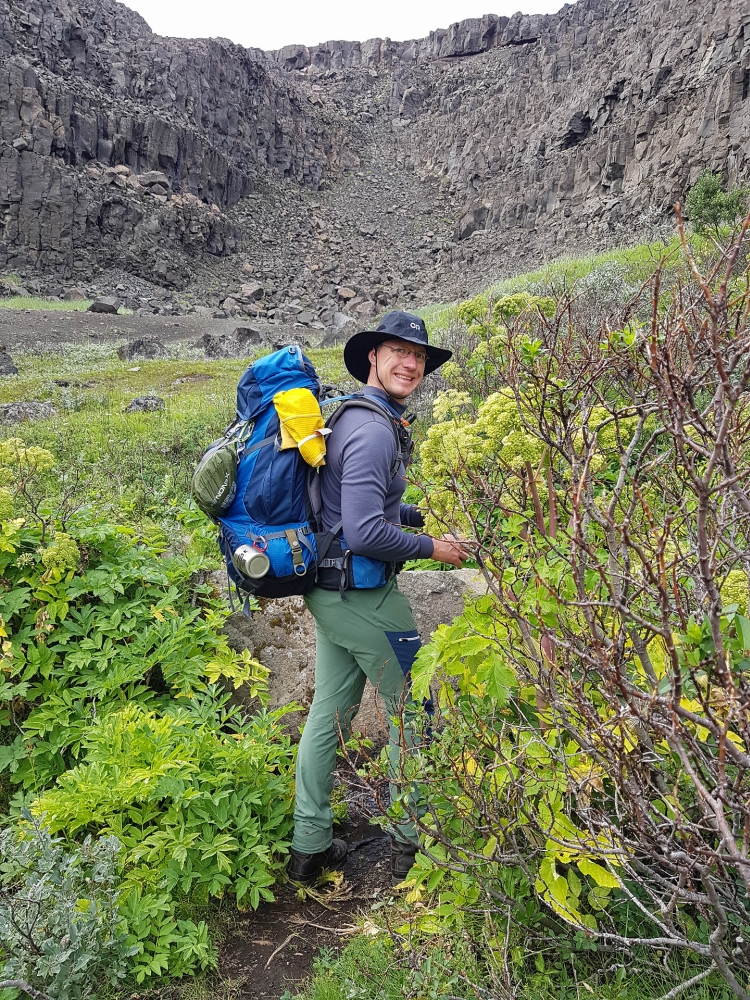 Es wird grün am Grunde des Canyons - auf unserer Trekkingtour entlang der Jökulsárgljúfur (Nordisland)