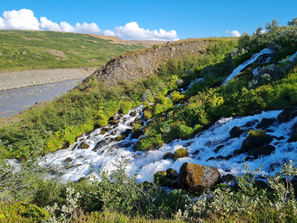 Die Hólmarfossar plätschern in the fruchtbare Oase Hólmatungar - auf unserer Trekkingtour entlang der Jökulsárgljúfur (Nordisland)