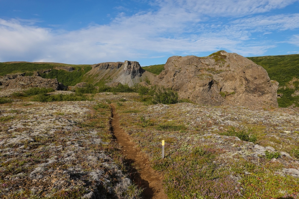 Kleiner Rundweg auf dem Aussichtshügel Eyjan im Vesturdalur - auf unserer Trekkingtour entlang der Jökulsárgljúfur (Nordisland)