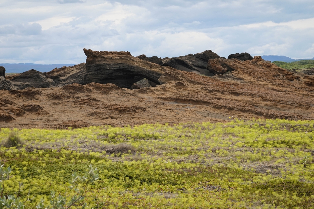 Querung über eine Heidelandschaft zum Aussichtspunkt Klappir - auf unserer Trekkingtour entlang der Jökulsárgljúfur (Nordisland)