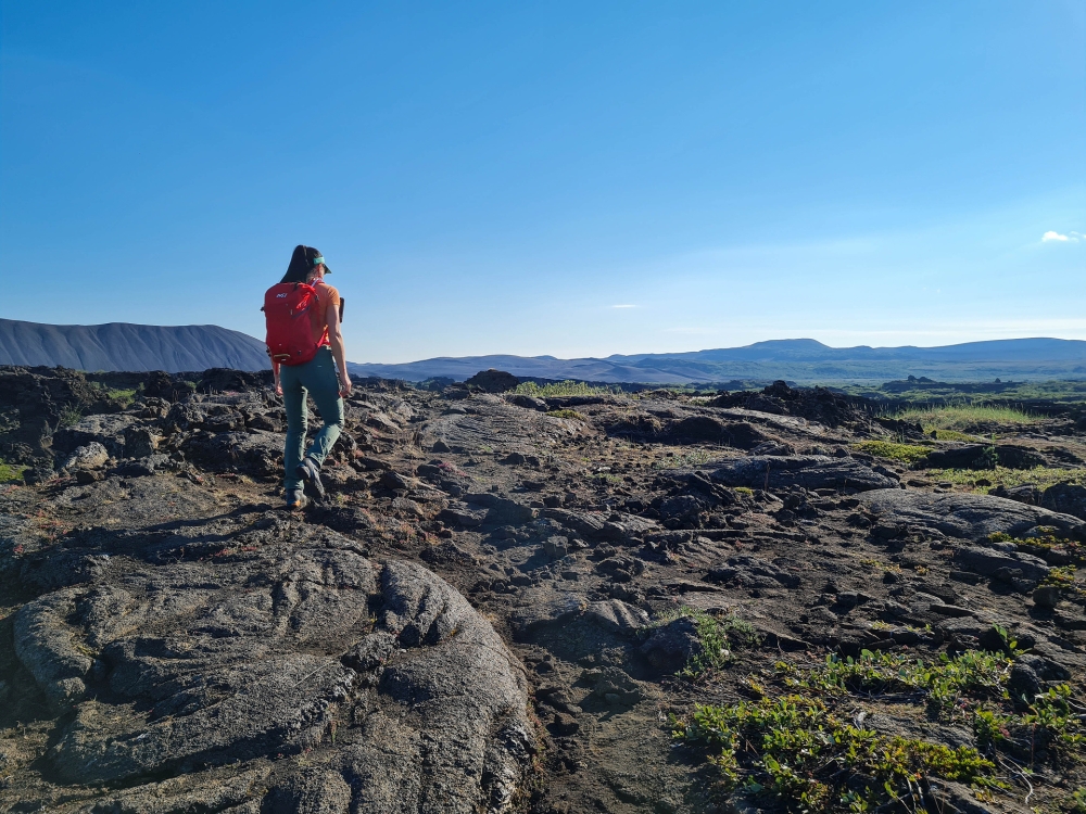 Hinweg über die erstarrten Fladen am Rande der Dimmuborgir am Mývatn (Nordisland)