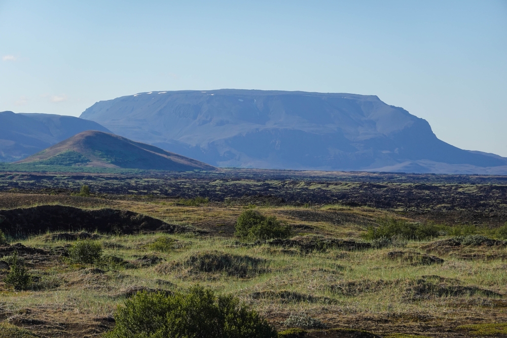 Blick von den Dimmuborgir am Mývatn auf den Tafelberg Bláfjall (Nordisland)