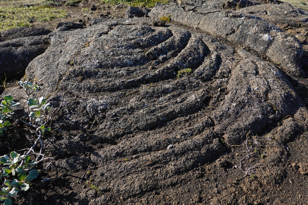 Fladenlava zwischen den Dimmuborgir am Mývatn (Nordisland)
