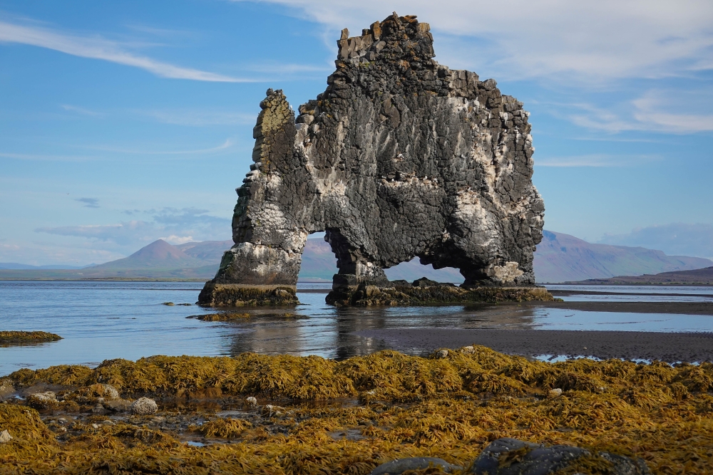 Kalenderbild Juni 2022 - der Hvítserkur auf Vatnsnes (Nordisland)