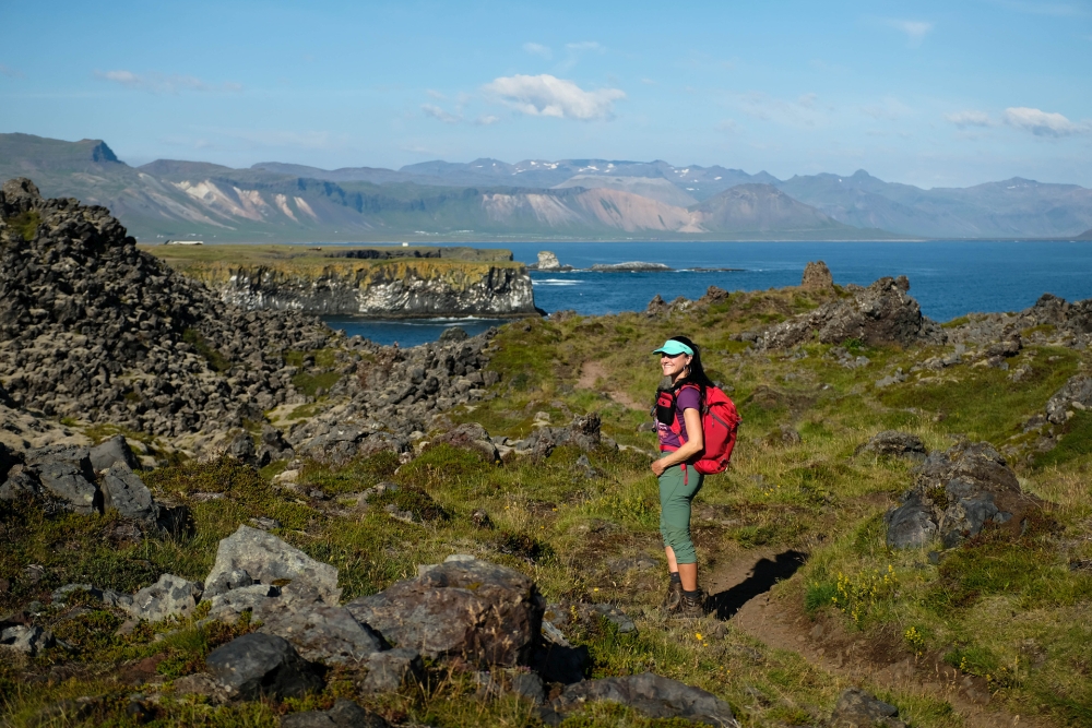 Blick auf die Steilküste von Arnarstapi - auf unserer Wanderung von Hellnar nach Arnarstapi - Südküste von Snæfellsnes (Island)