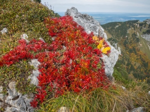 Benediktenwand