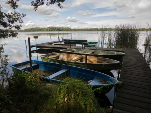 Spreewald