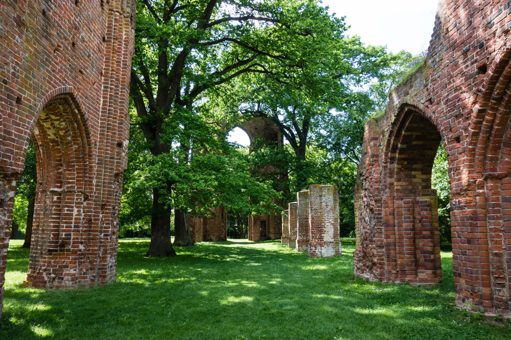 Klosterruine Eldena / Wieck
