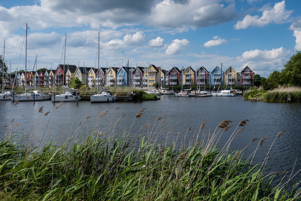 Schilf und bunte Häuschen am Ryck / Greifswald