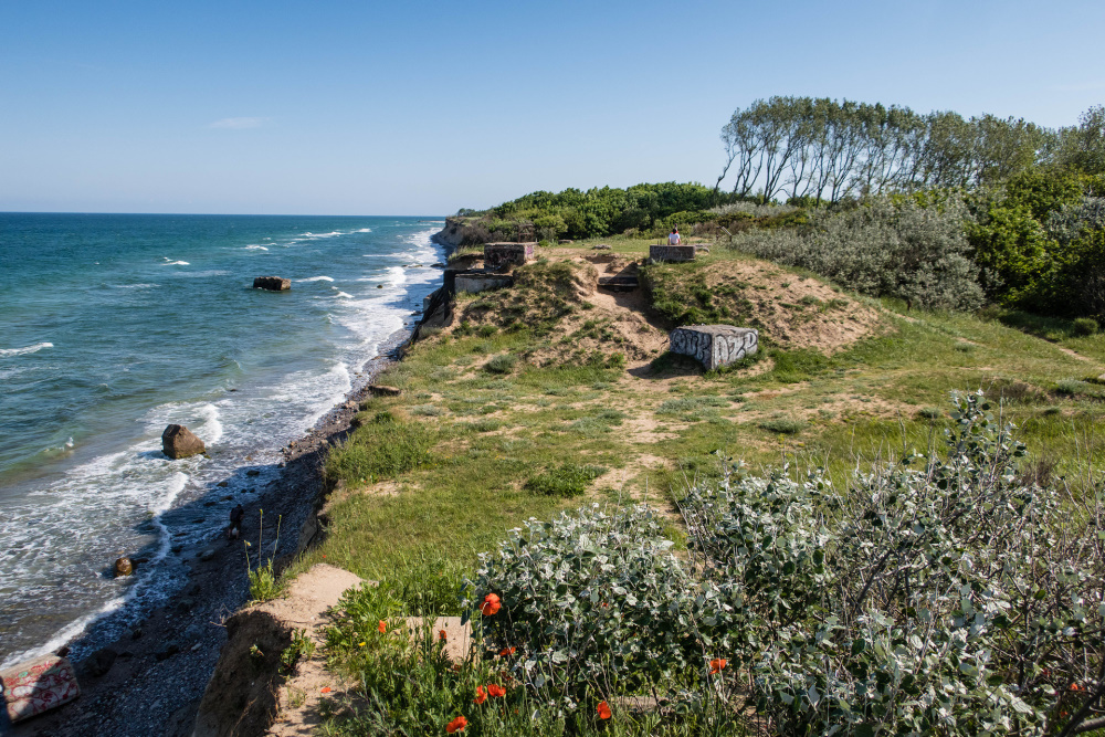Hohe Ufer zwischen Wustrow und Ahrenshoop mit Windflüchtern