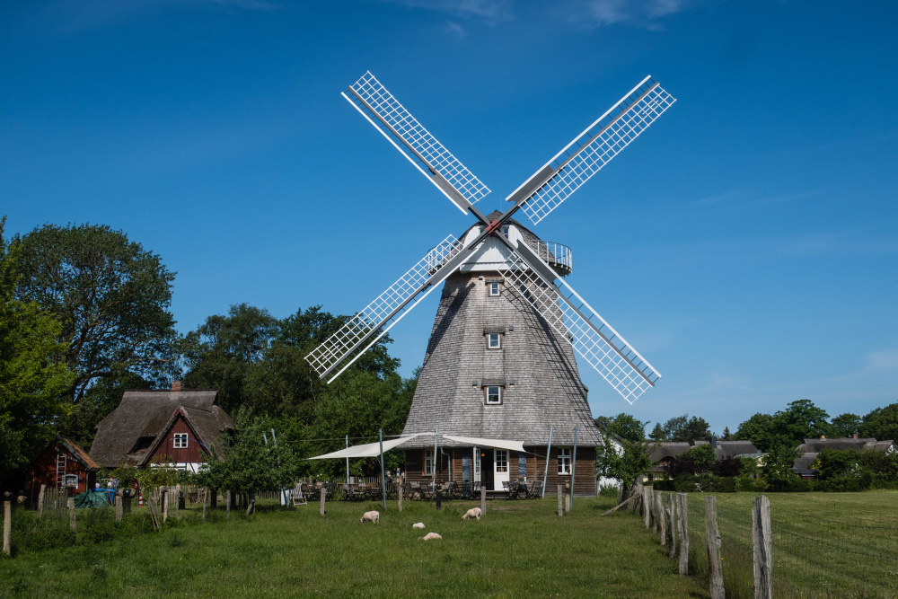 Mühle in Ahrenshoop / Fischland