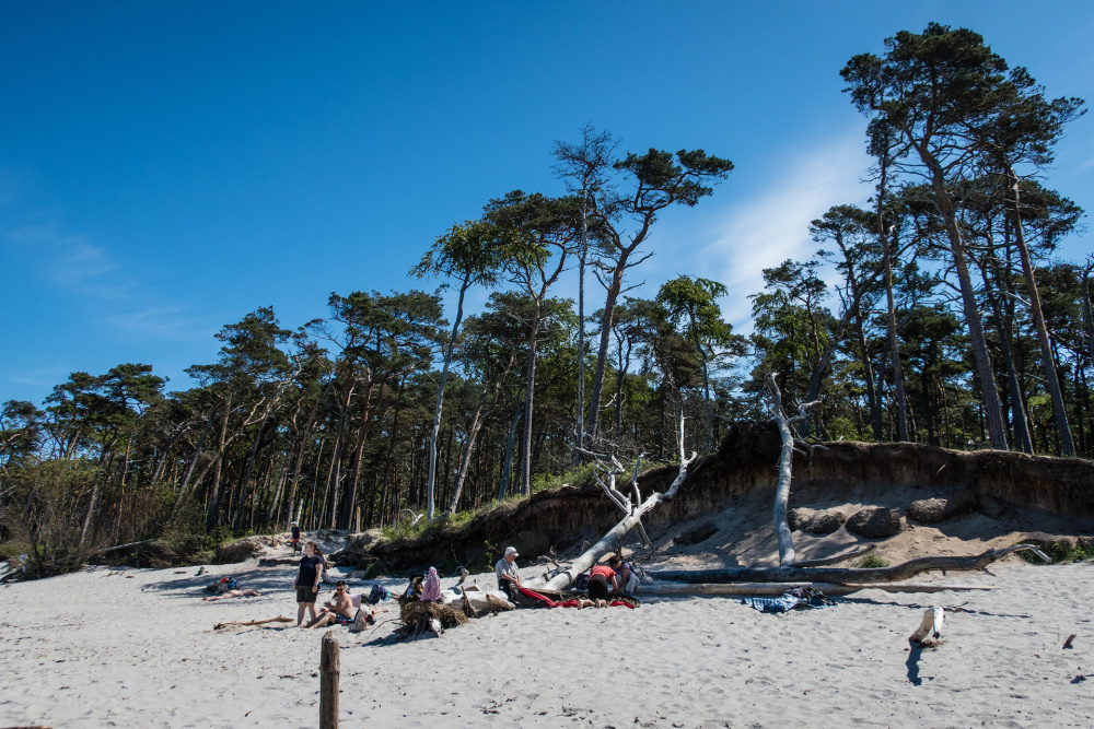 Weststrand auf dem Darß