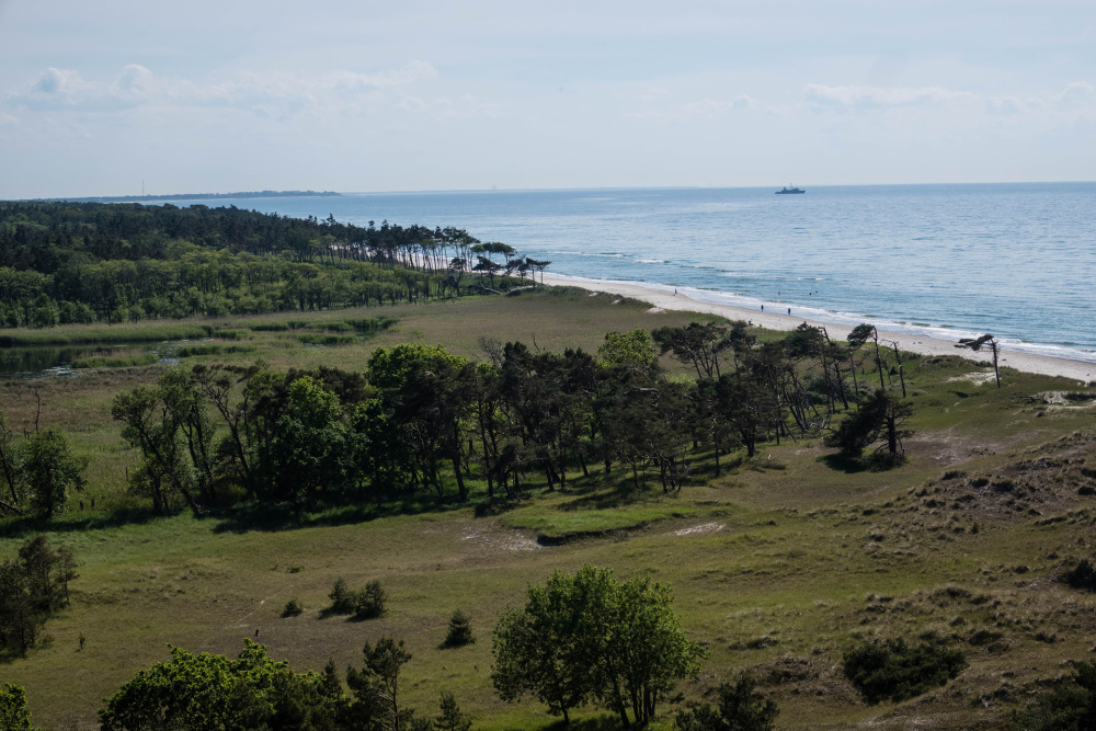 Blick von oben auf den Darßer Weststrand