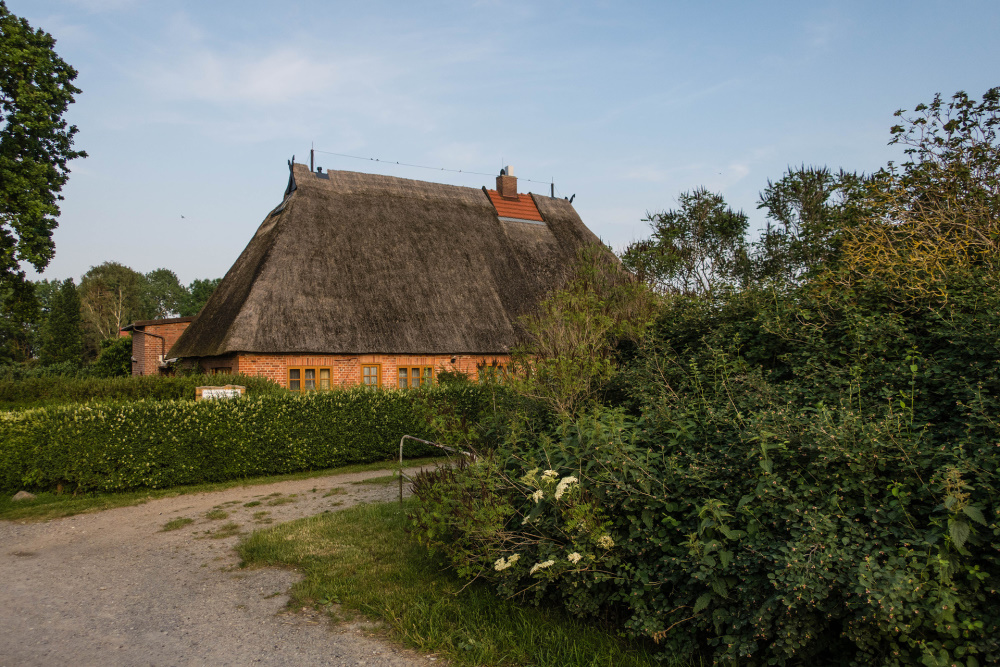 Lehmfachwerkhaus mit reetgedecktem Walmdach in Hoben