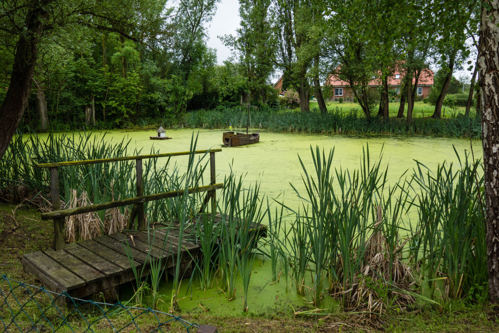 kleiner Teich inmitten der Insel Poel