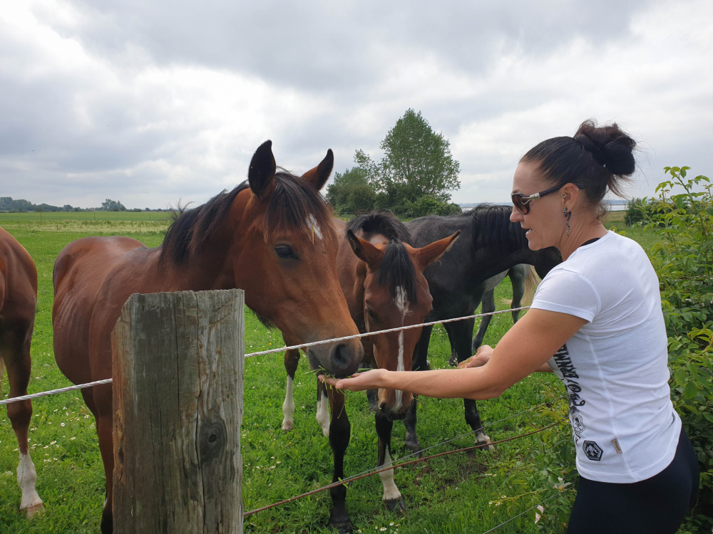 die Riding Mistress ganz handzahm
